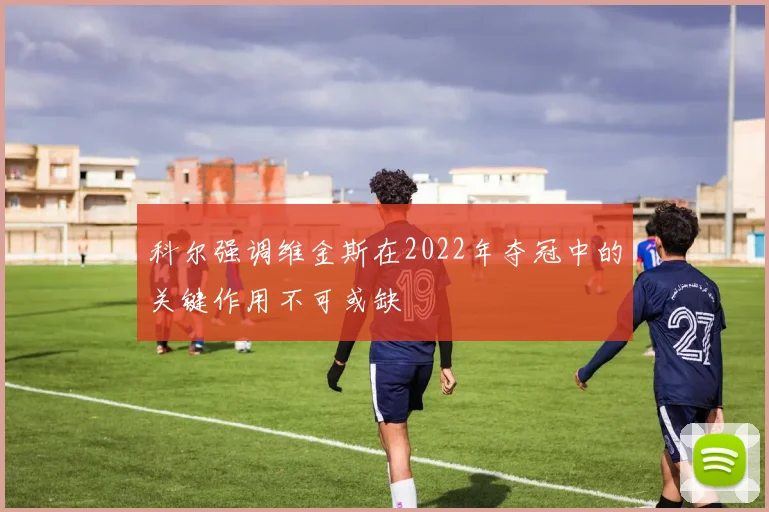 科尔强调维金斯在2022年夺冠中的关键作用不可或缺