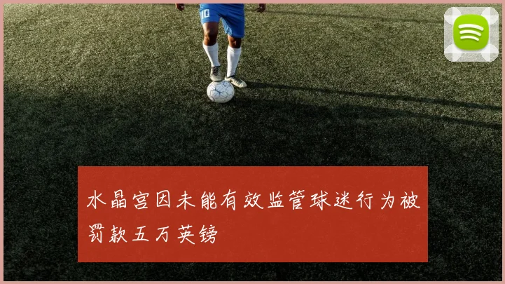 水晶宫因未能有效监管球迷行为被罚款五万英镑